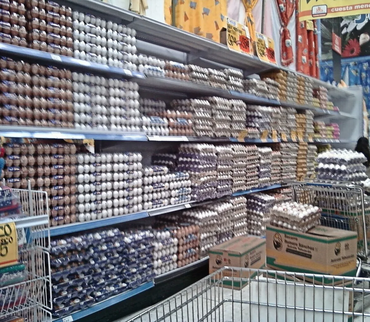 Decoding Egg Labels: What 'Cage-Free' and 'Organic' Really Mean