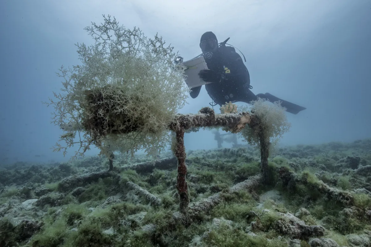 New Exhibit Honors Marine Pioneer Ian Koblick