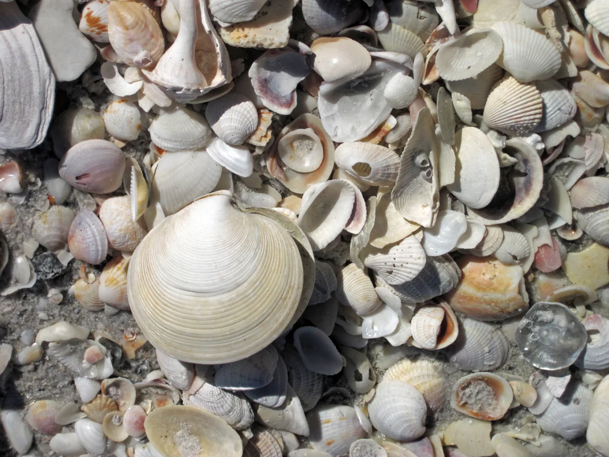 Seaglass Cove Development Completed in Florida Keys