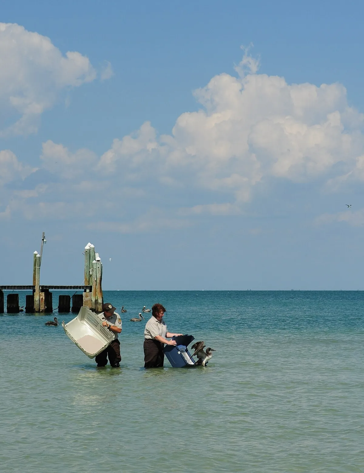 Shark Bite Victim Recovers, Rescuer Speaks