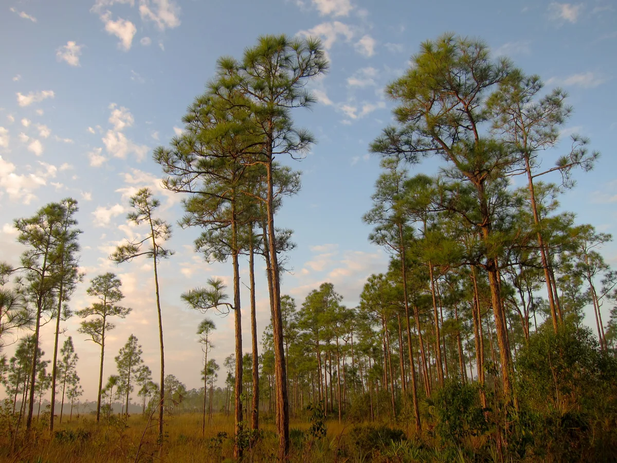 State Parks Host Lecture on Gardening and Pollinators
